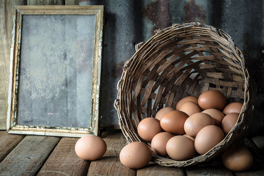 WHY FREE-RANGE EGGS?